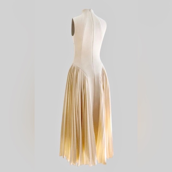 Sierra Darien NWOT sleeveless pleated midi / maxi dress - 2024 drop waist style - Picture 8 of 8